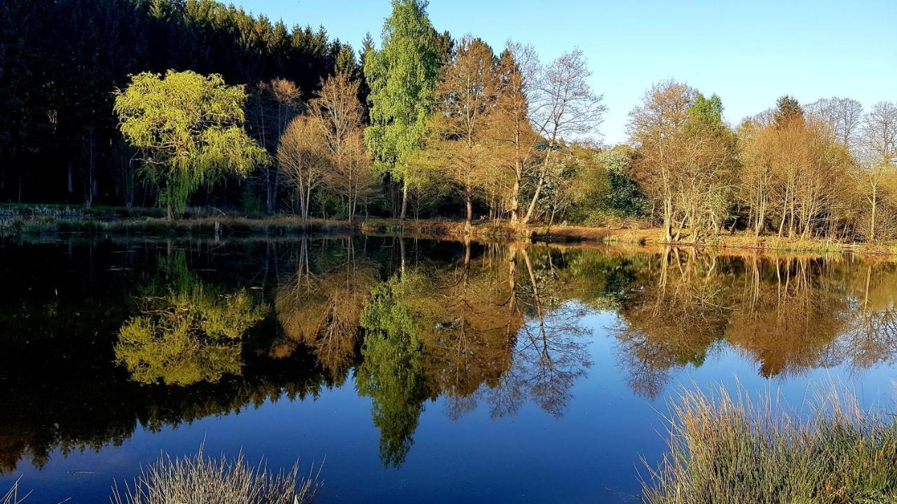 Les Etangs Du Thioux Guest House Malmedy Εξωτερικό φωτογραφία